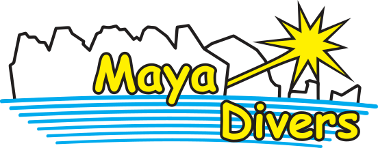 Maya Divers